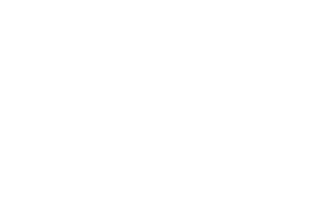 Opulence Dinner Party